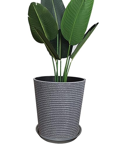 美品✨グリーンポット 植木鉢 ビアス アルトエッグ　43cm アイボリー 楽天市場】植木鉢 おしゃれ 大型 ビアス アルトエッグ 43cm