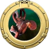 12 "ウィンドウ舷窓出荷Sea Ocean View Octopus Squid # 1真鍮壁デカール子供ステッカーベビールームホームアート飾りden man caveグラフィックSmall