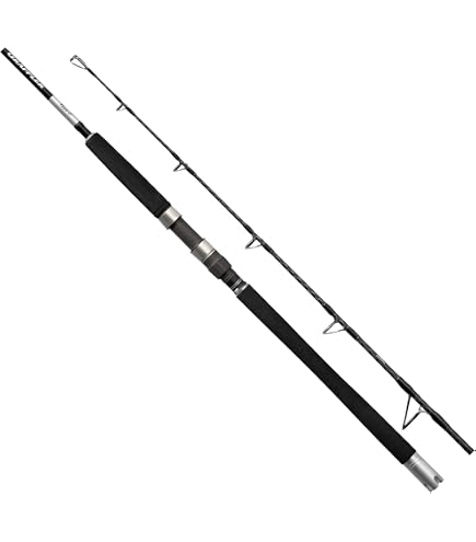 Amazon | シマノ(SHIMANO) 大型スピニングリール 24 ストラディックSW