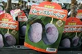 【果樹苗】【接木】　プルーン　大玉バーバンク　一年生　【送料込価格】