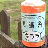 ハナオカ 見張糸キララオレンジ P-6 1000M
