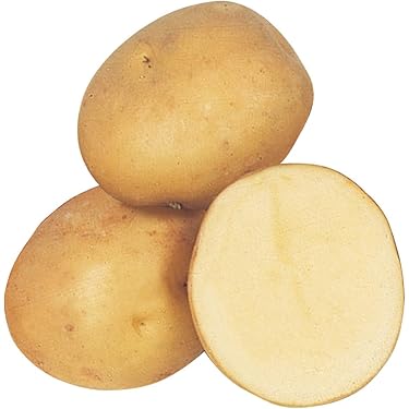 Amazon.co.jp: 種芋 秋植えじゃがいも デジマ 1kg / 国華園 25