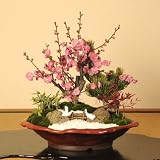 迎春：松竹梅(変形赤釉薬鉢)*