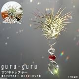 (観葉)エアープランツホルダー ぐるぐる サンキャッチャー スワロフスキー OCT2-OVP-RD(おまかせエアープランツ付) 本州・四国限定[生体]