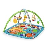 パパジーノ ブライトスターツ ジッピーズー・アクティビティジム 52169