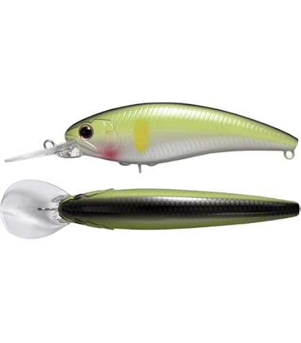 Amazon | ジャッカル(JACKALL) ナワバリ レンジ コンフィー NRC-C100M