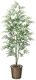 光触媒観葉植物 青竹　1.7 フロアタイプ ハイサイズ
