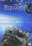 Equator -�ԓ�- �K���p�S�X �C���̖��p