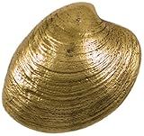 Quahog Door Knocker - Brass (Premium Size) by Michael Healy Designs
