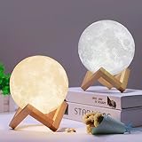 3dプリントMoon NightライトLEDランプ、liyudl USB LEDナイトライトの色変更withリモートコントロール、充電式ホーム装飾ライト 7.9 inch ホワイト