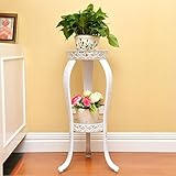 TIDLT フラワースタンド 鉄の芸術 バルコニー インドア 二重層 フロアスタンドフラワースタンド 80 * 42CM 3色 (色 : 3)