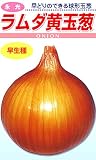 松永種苗 永光 ラムダ黄玉葱 (タマネギ) 小袋5ml