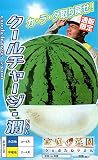 【種子】スイカ クールチャージ・潤 野菜　ナント種苗