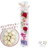 カーネーションのハーバリウム スイーツセット ギフトラッピング無料 メッセージカード付き (ネプチューン)