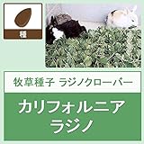 【ノーブランド品】[羊・ウサギなどに　春・秋まき　タネ ]牧草種子：ラジノクローバー・カリフォルニアラジノ500g