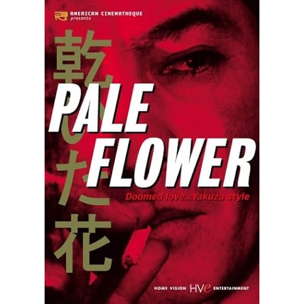 Amazon.co.jp: 歴史は女で作られる [DVD] : マルティーヌ・キャロル
