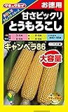 タキイ種苗 お徳用 おいしさセレクト 甘さビックリとうもろこし キャンベラ86