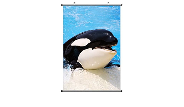 Amazon Co Jp かわいいシャチ 動物の写真ポスター掛け軸 50cmx75cm ホーム キッチン