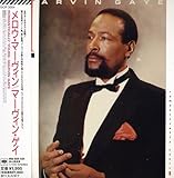 �����E�E�}�[���B��