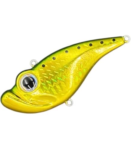 Amazon.co.jp: Water Land(ウォーターランド) スケルトンクランク