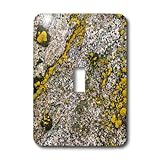 3dRose Lsp_11270_1 Abstract Pattern Of Yellow Lichen On Granite Rocks Single Toggle Switch