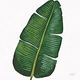 907425 – 親 16 x 16 Art Print ホワイト P907425-0160000