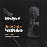 �r�N�^�[�~�^���[���R�[�h�w���e�b�W�E�V���[�Y �R�c��Y�̌|�p