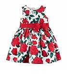 Carter's DRESS ベビー・ガールズ US サイズ: New born カラー: マルチカラー