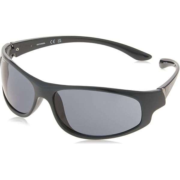 【ハーレーダビットソン】HD SHADOW JAPANESE FIT サングラス Amazon.co.jp: Harley-Davidson メンズ Shadow-Alt フィット ライト