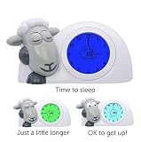 Zazu Kids, SAM Sleep trainer and Nightlight, Grey by Zazu Kids [並行輸入品]
