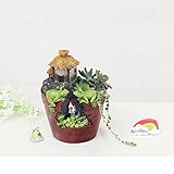 Non-brand 樹脂多肉植物プランターフラワーポットホームガーデンクラフト装飾カエルデザイン