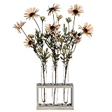 Vickerman AZF11022 Daisy Tubes with Acrylic Water Artificial Plant, Yellow, 17-Inch [並行輸入品]