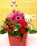 パプス！ キーチェーン チワワ付き 季節のお花の ミルクBOX フラワーアレンジメント （生花） FL-AR-276