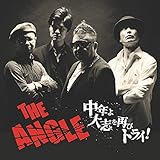 中年よ大志を再びトライ!