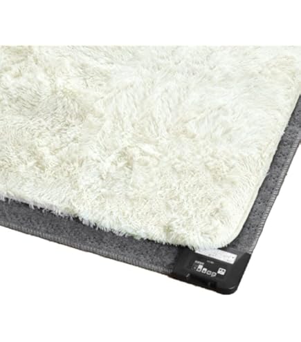 Amazon | コイズミ ホットカーペット ラグサイズ カバー付きセット 1.5