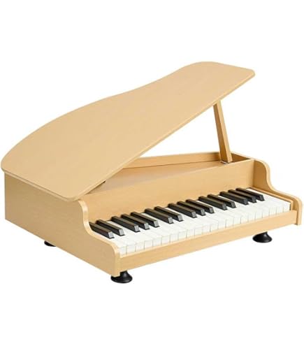 Amazon.co.jp: アナと雪の女王 ピアノえほん 単四電池2本 : おもちゃ