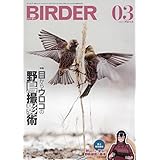 BIRDER 2023年 03 月号 [雑誌]