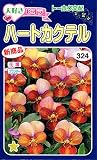 トーホク 大好きビオラ ハートカクテル 花 0.2ml