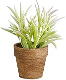 アビテ 造花 観葉植物 グリーンポット・S-マンネングサ IL-115-AA
