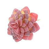 Dovewill 全１６タイプ　プラスチック多肉植物　生活を彩る　治癒系　造花　人工植物　DIY　飾り付け　店舗装飾　インテリア　 - タイプ1