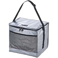 キャプテンスタッグ(CAPTAIN STAG) 保冷バッグ デリス ソフトクーラーバッグ 折りたたみ可 シルバー