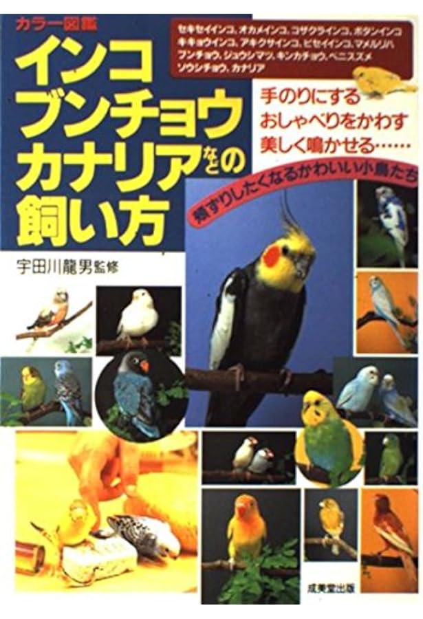 Amazon.co.jp: ザ・カナリア: 最新の品種・飼育法・繁殖・ケアがわかる