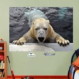 FATHEAD Polar Bear Mural Graphic Wall D?cor [並行輸入品]
