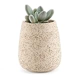 T4U 2.25 インチ 粘土 ミニ植木鉢 褶曲円柱シェイプ 多肉植物 サボテン鉢 フラワーポット プランター容器　クリーム色