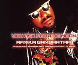 You Ask For The Moon by Afrika Bambaataa (2008-11-04)【並行輸入品】