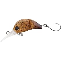 Amazon | シマノ カーディフ ちびとろ 25F | シマノ(SHIMANO) | フック・針