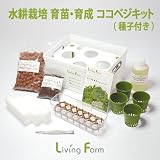 リーフレタス 水耕栽培 育苗・育成ココベジキット (種子付き)