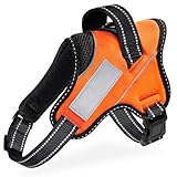 【ドッグトレーナー推薦】OGURIYA犬 ハーネス 喉に優しい 小型犬 中型犬 大型犬 着脱簡単 超可愛い色 ネームプレート 夜間反射 サイズ調整可能 犬体工学に基づいた 7色選択(オレンジ,S)