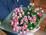 色お任せかわいいスプレーバラ１０本の花束４０～５０輪つき