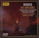 ���[�O�i�[:�y���s���@���L���[���t�S��